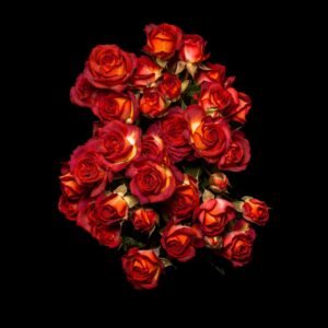 Spray-Rose-Chocolate-Bubble